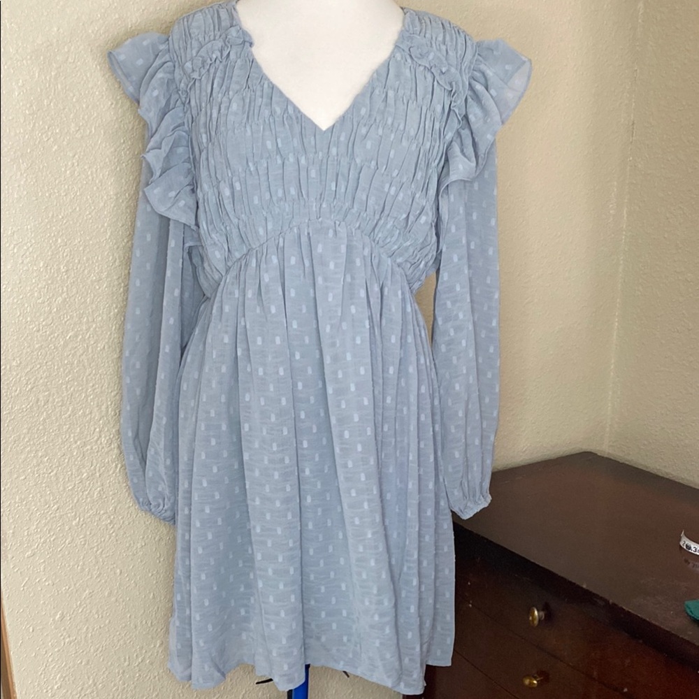 Light Blue Ruffled Long Sleeve Dress from Reveroff size L NWT